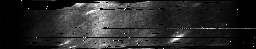 ascat_grayscale_ch3.png